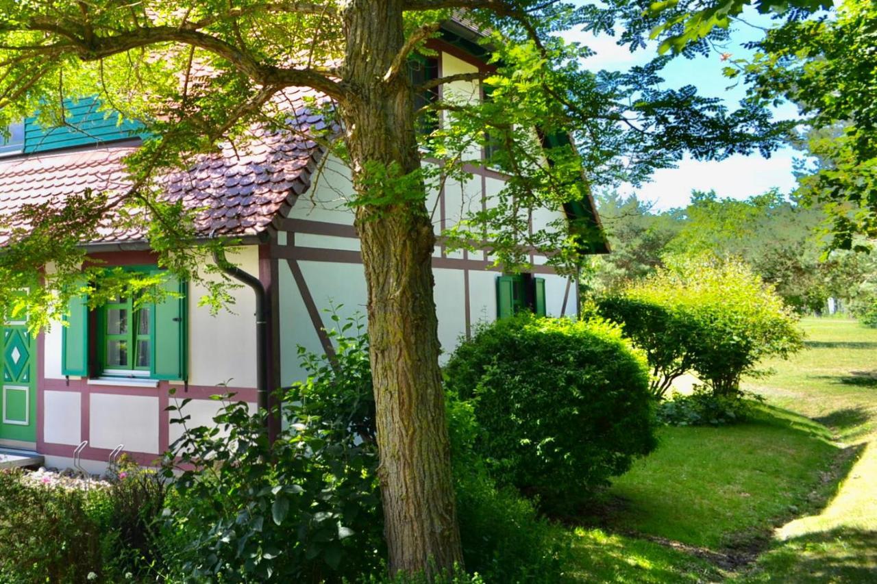 Strandnahe Ferienwohnung Ruegen Dranske Exteriér fotografie